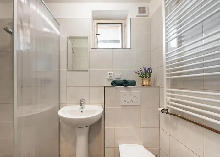 Apartment Roznov Ceske Budejovice